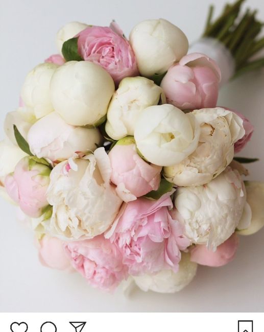 Matrimonio rosa 👙🌸🌷 - 1