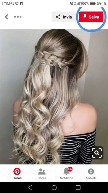 Capelli sciolti e velo 1