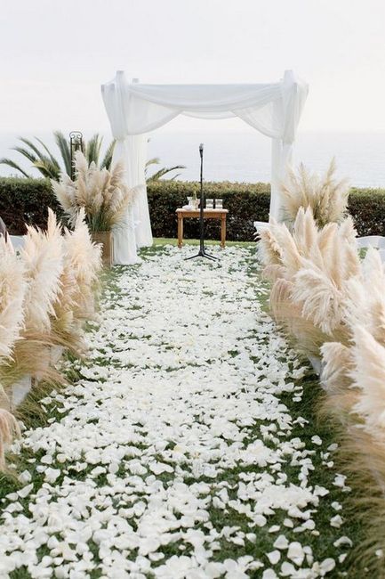 Adorate pampas😂😂😍 - 4