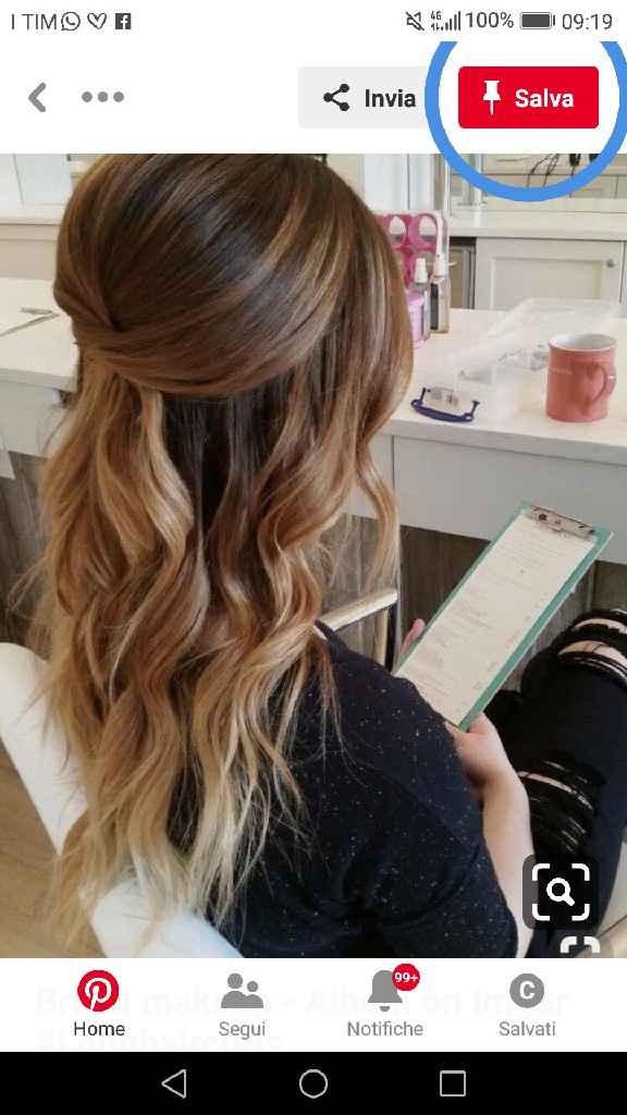 Capelli sciolti e velo - 2