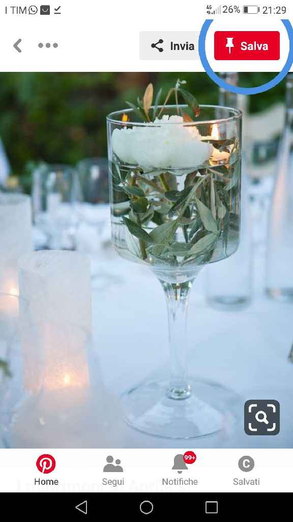 Tema matrimonio: Ulivo - 6