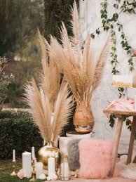 Adorate pampas😂😂😍 - 3