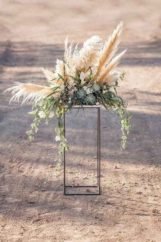 Adorate pampas😂😂😍 - 5