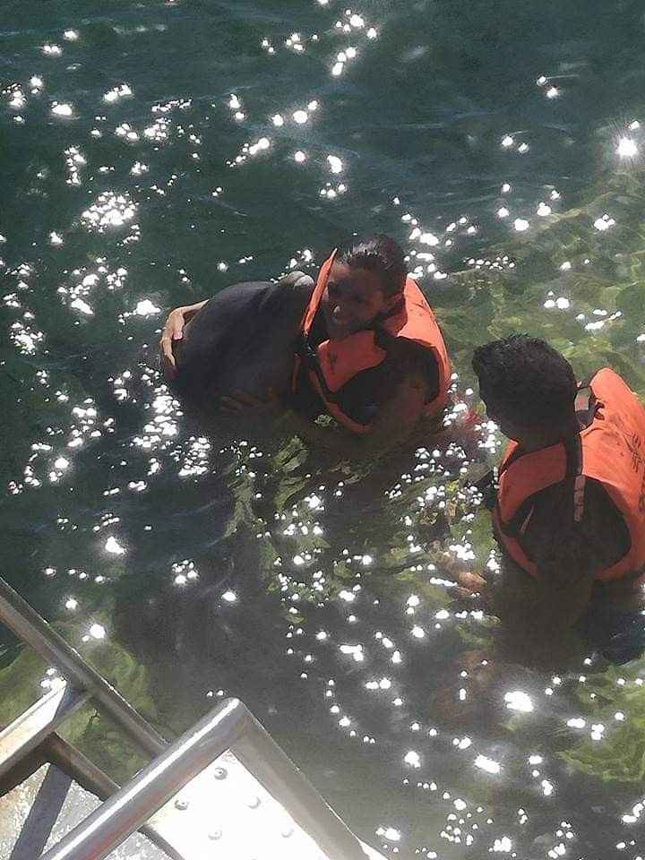 i nostri viaggi 🌍❤️ - 7