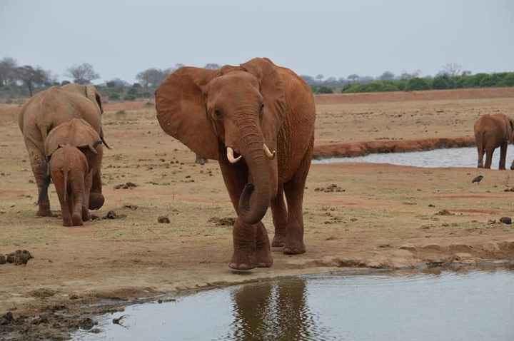 i nostri viaggi 🌍❤️ - 24