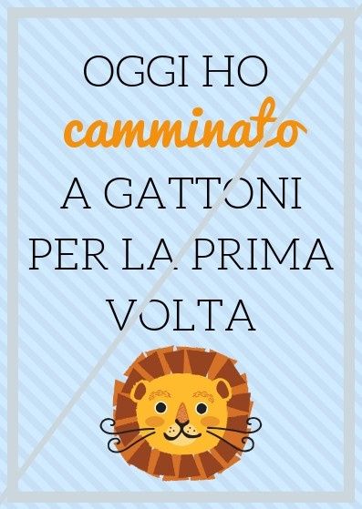 a gattoni