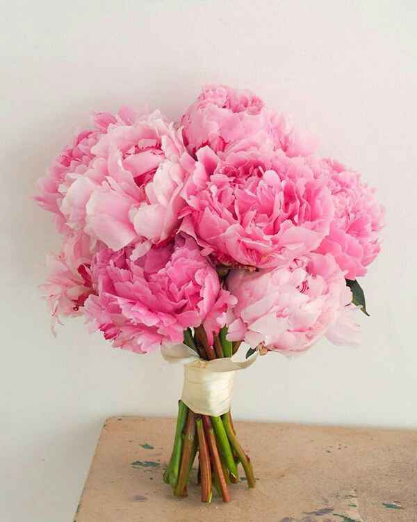  e il bouquet? - 4