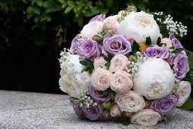 Rosa e glicine.. idee.. 20