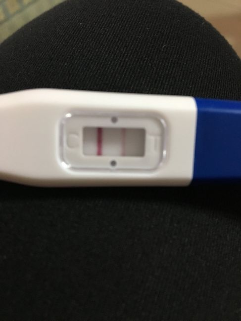 Panze di 3 settimane 2