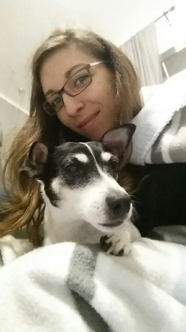 Gestione cane - 1