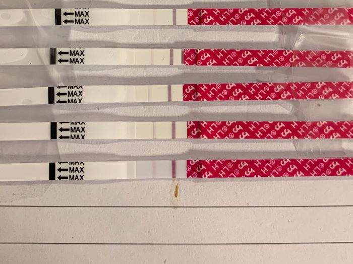 Chi non le aspetta per novembre 2019 - 1