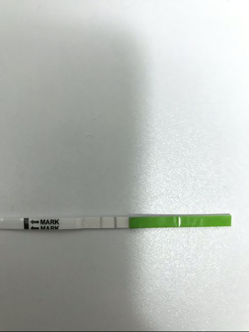 Aprile 2019 aspiranti mamme 1