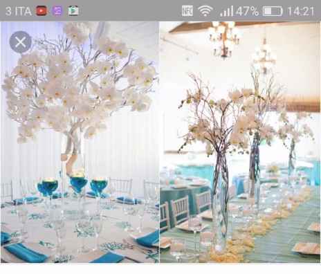 albero 2