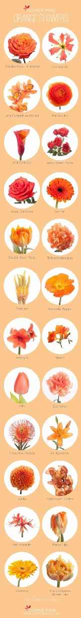 Arancio