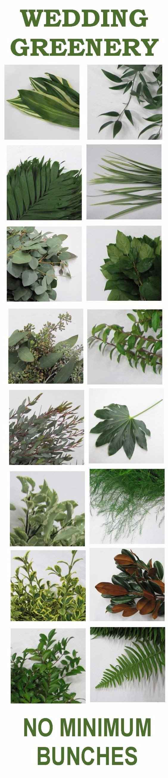 Verde complementare