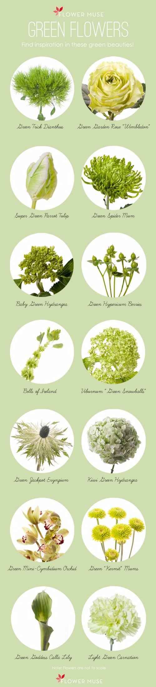 Verde--