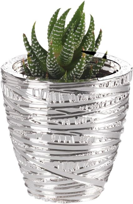 Vaso argento