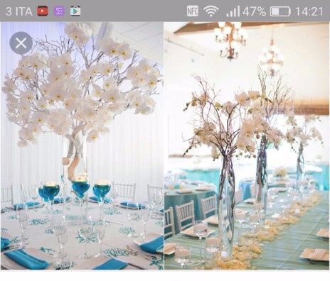 albero 2