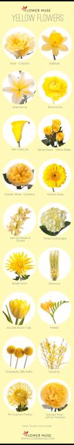 Giallo-
