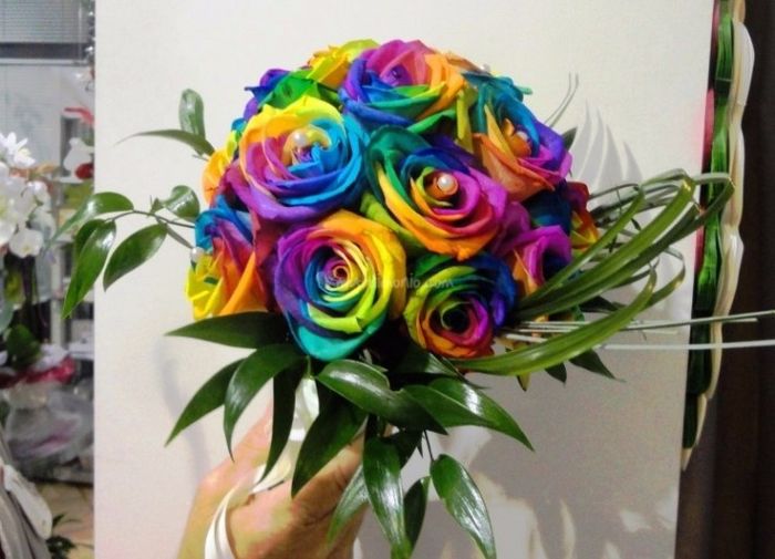 Arcobaleno 3