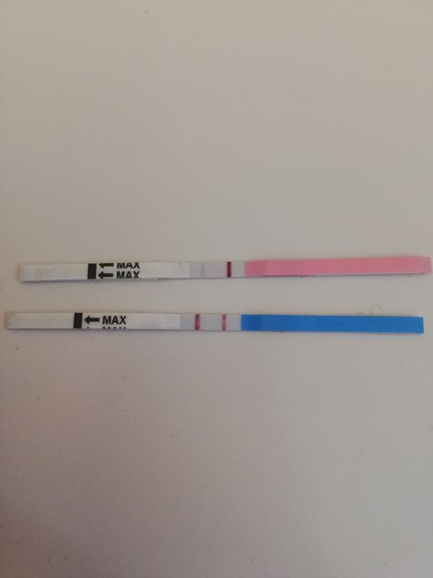 Test afac ovulazione e gravidanza - 1