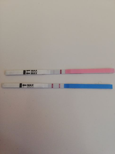 Test afac ovulazione e gravidanza - 1