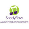 ShadyFlow