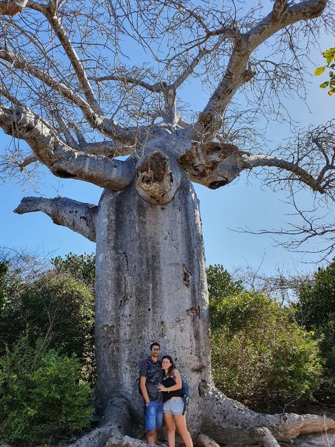 Sogniamo pensando ai viaggi - 2