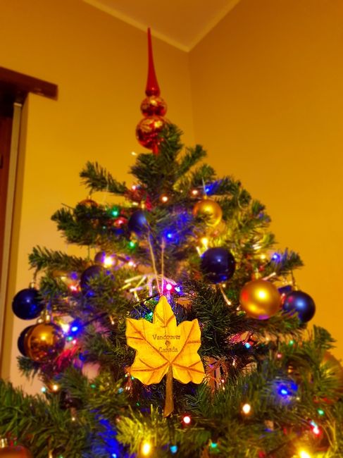 Fatto anche l'albero di Natale! - 1