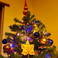 Fatto anche l'albero di Natale! - 1
