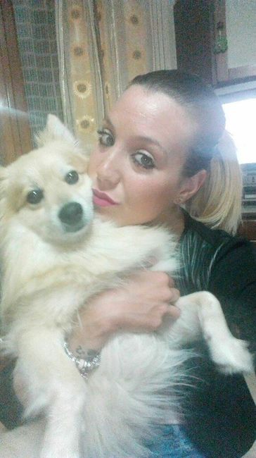  Fedi a quattro zampe - 1