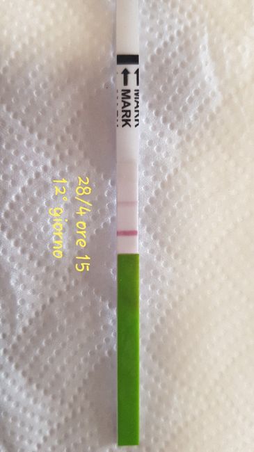 Lettura test ovulazione canadese aiutatemi a capire vi prego! 4