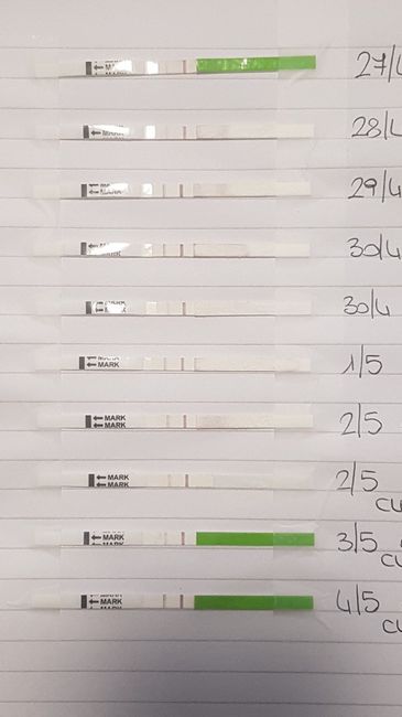 Lettura test ovulazione canadese aiutatemi a capire vi prego! 3