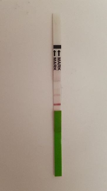 Lettura test ovulazione canadese aiutatemi a capire vi prego! 2
