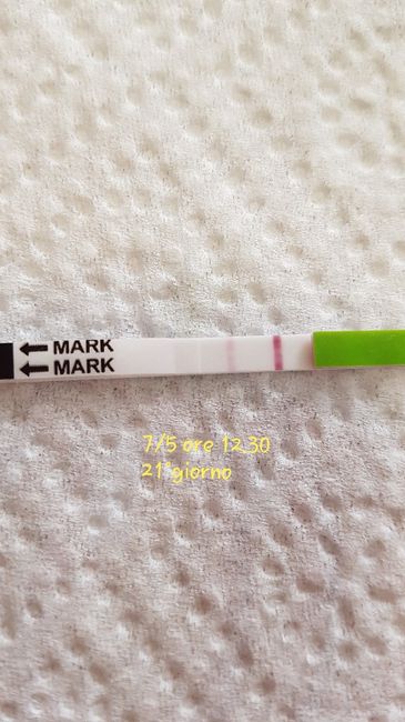 Lettura test ovulazione canadese aiutatemi a capire vi prego! 2