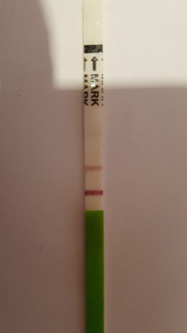 Analisi muco cervicale esperte venite a me! - 1