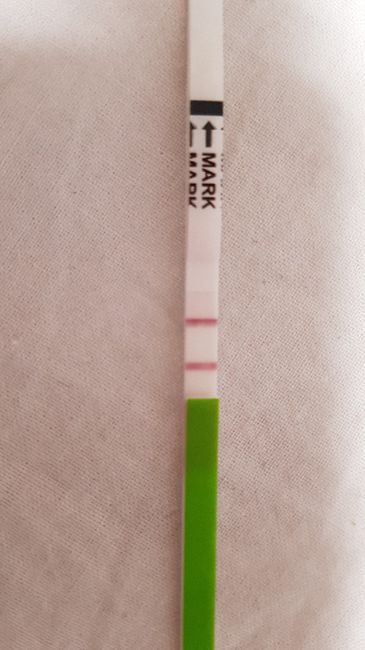 Analisi muco cervicale esperte venite a me! - 1