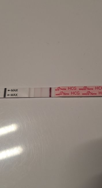 Chi non le aspetta a Novembre 2025 🍀 1