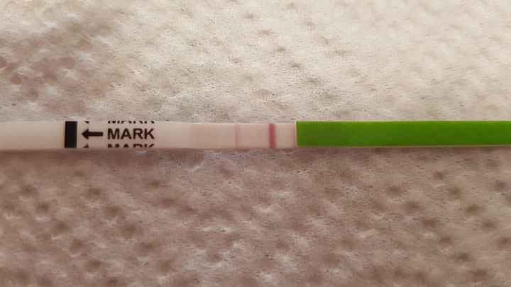 Lettura test ovulazione canadese aiutatemi a capire vi prego! - 1