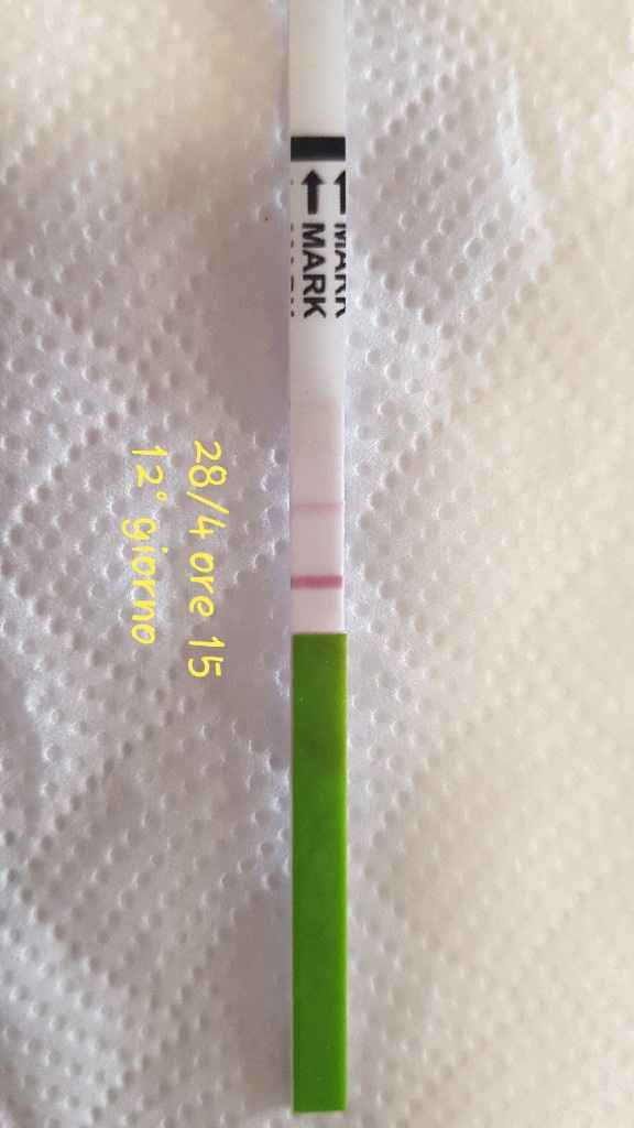 Lettura test ovulazione canadese aiutatemi a capire vi prego! - 1