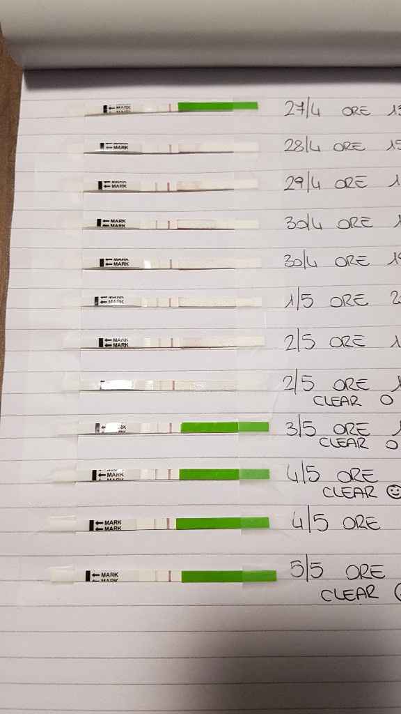 Lettura test ovulazione canadese aiutatemi a capire vi prego! - 1