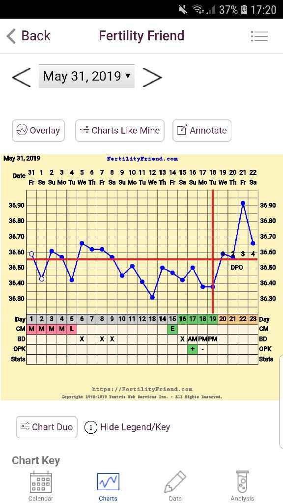 Temperatura basale consigli - 1