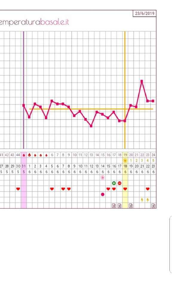 Temperatura basale consigli - 1