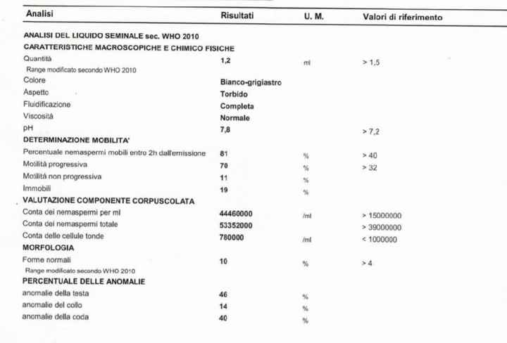 Risultati spermiogramma aiuto - 1