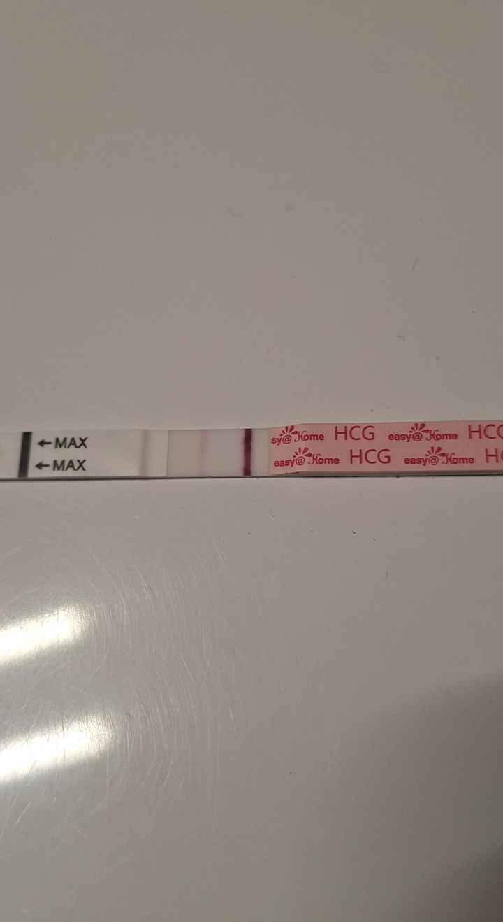 Chi non le aspetta a Novembre 2025 🍀 - 1