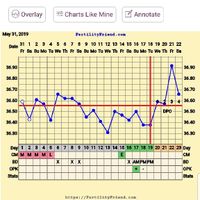 Temperatura basale consigli - 1