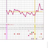 Temperatura basale consigli - 1