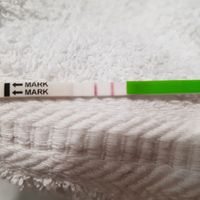 Stick canadese ovulazione...x voi è positivo? - 2