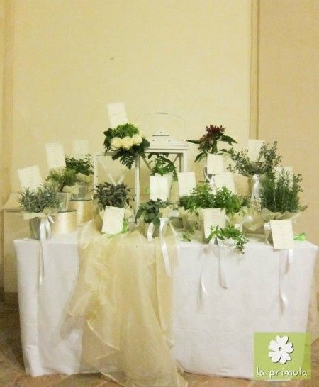 Foto tableau erbe aromatiche