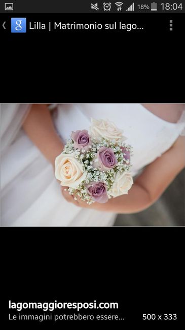 Spose in rosa 2015 qnt siamo - 5